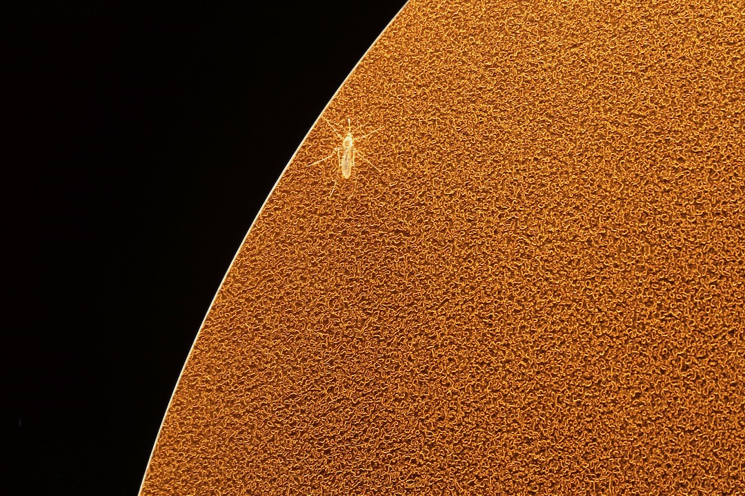 Obraz z metalu corten słońce